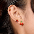 Aretes Nature