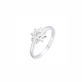 Anillo Sol 2