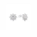 Aretes Roseta
