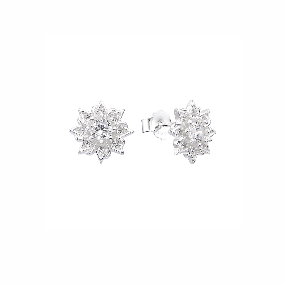 Aretes Roseta