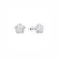 Aretes Rosita